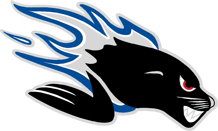 Saint John Sea Dogs 2005 06-Pres Primary Logo vinyl decal